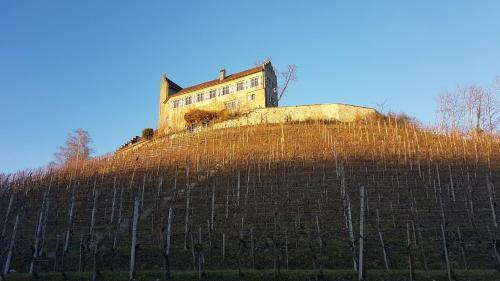 Hotel Schloss/castel Schwandegg