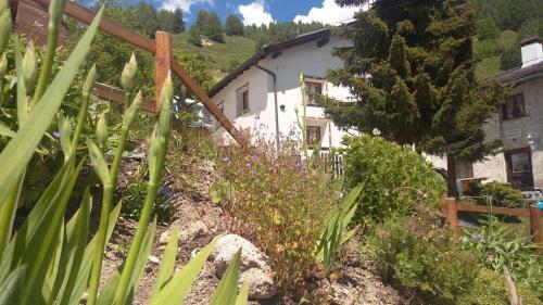 Berghaus Am Sonnenhang Valpaschun