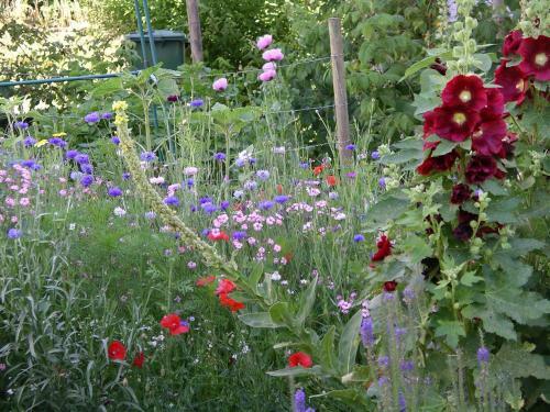 B&B Im M�sli