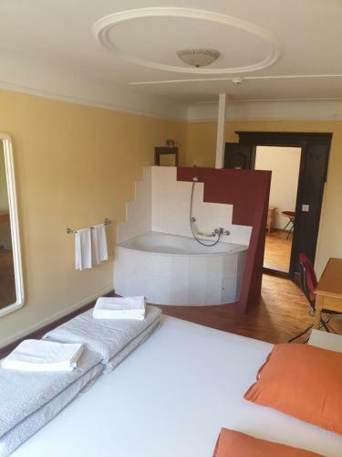 Hotel Schwanen&napolyon