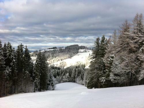 Posada Hirschen Wald