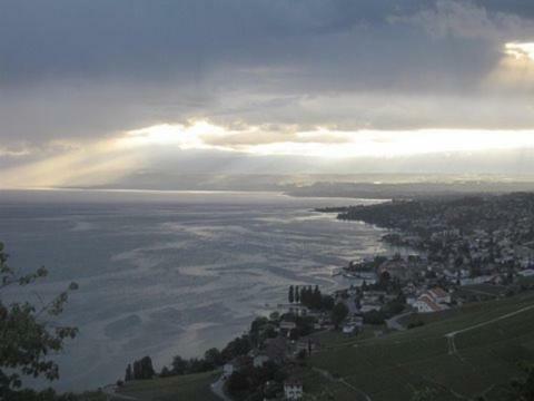 Bed & Breakfast Villa Lavaux