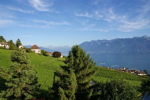 Bed & Breakfast Villa Lavaux