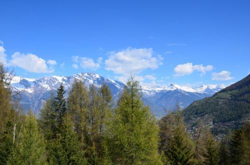 Chalet Grizzli