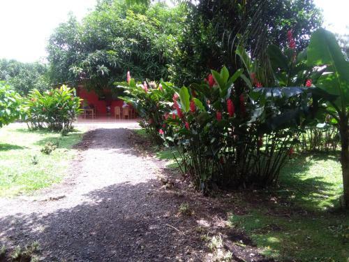 Paraiso Volcano Lodge