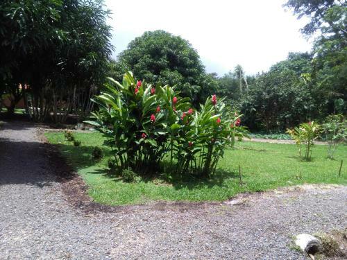 Paraiso Volcano Lodge
