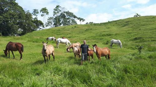 Finca Tres Equis - Farm And Forest