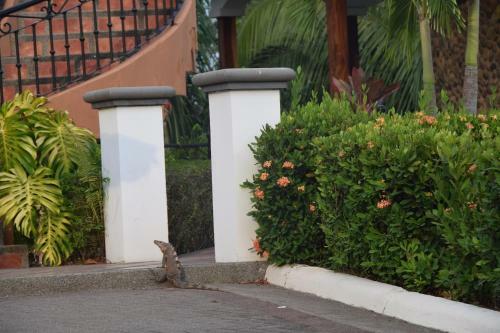 Villa Palm Coast Luxury Rentals