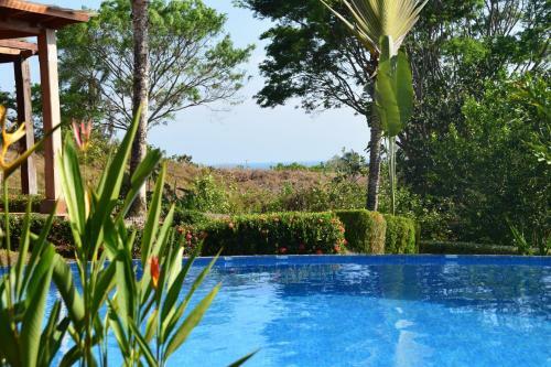 Villa Palm Coast Luxury Rentals