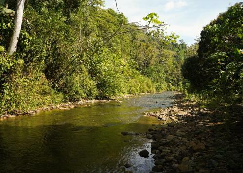 Amazonita Ecolodge