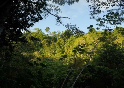 Amazonita Ecolodge