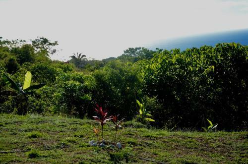 Casa Bellavista Montezuma
