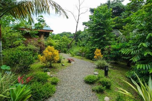Lodge Madreselva (jungle Bungalows)