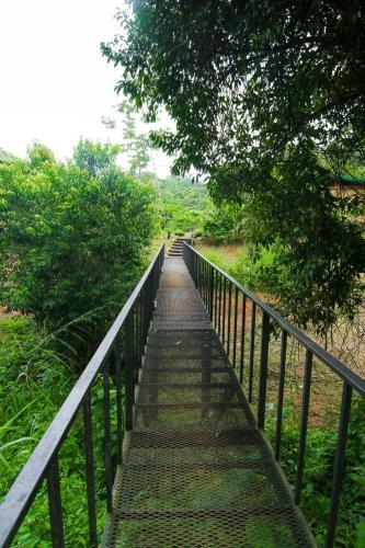Lodge Madreselva (jungle Bungalows)