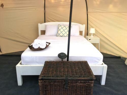 Driftwood Glamping & Boutique Hotel