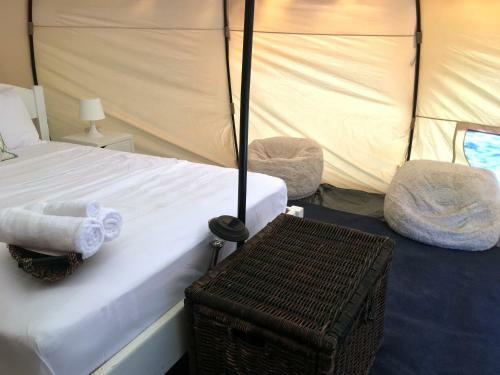 Driftwood Glamping & Boutique Hotel