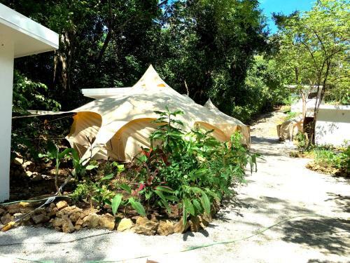 Driftwood Glamping & Boutique Hotel