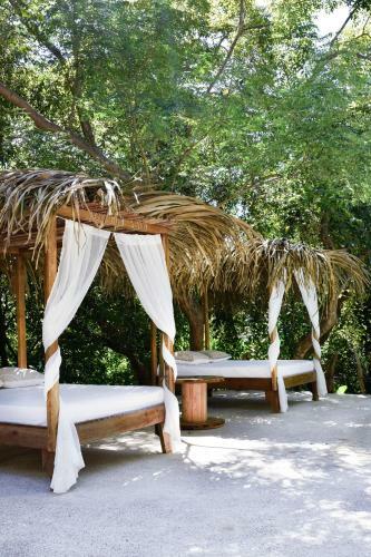 Driftwood Glamping & Boutique Hotel