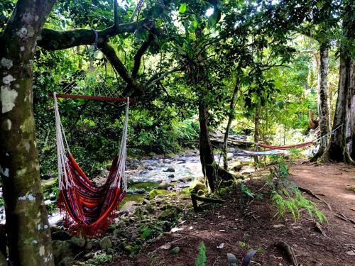 Buena Onda Jungle Lodge