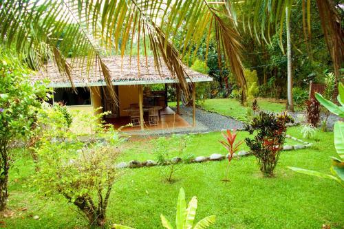 Buena Onda Jungle Lodge