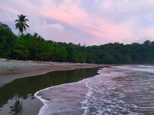 Buena Onda Jungle Lodge