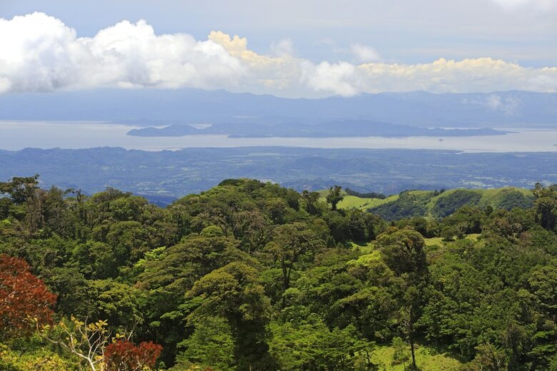 Senda Monteverde Hotel