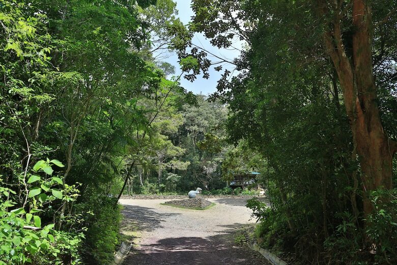 Senda Monteverde Hotel