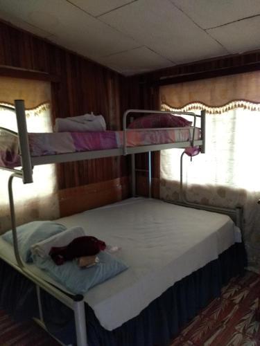 Hostel Paco House