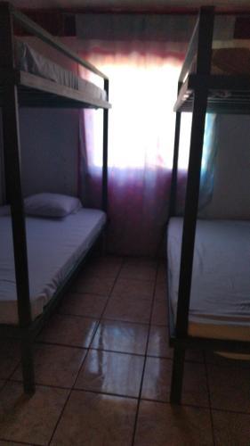 Hostel Paco House