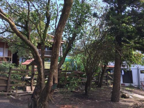 Green Papaya B&B