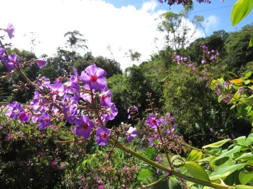 Apartamento Jardines Secretos