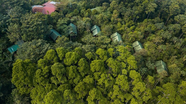 La Tigra Rainforest Lodge