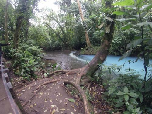 Bed & Breakfast Posada R�o Celeste La Amistad