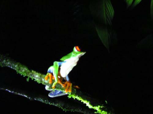 Bed & Breakfast Posada R�o Celeste La Amistad