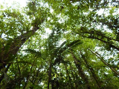Bed & Breakfast Posada R�o Celeste La Amistad