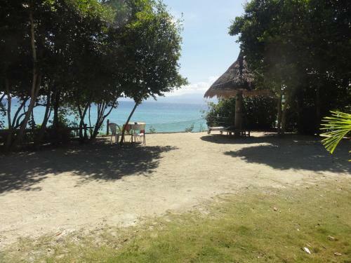 Bed & Breakfast Sea Turtle House Moalboal