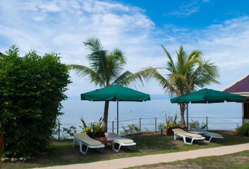 Hotel Quo Vadis Dive Resort
