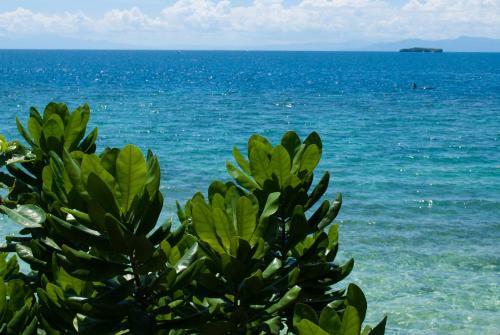 Hotel Quo Vadis Dive Resort