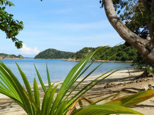 Hotel Cashew Grove Beach Resort