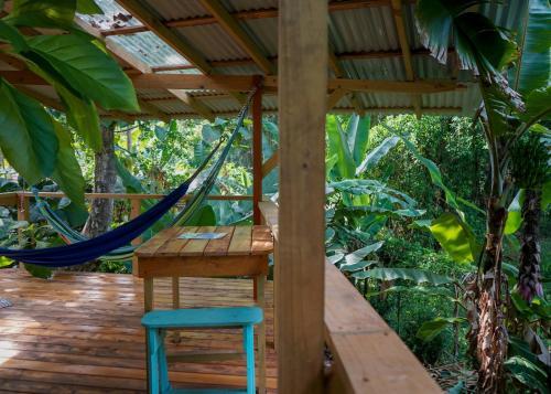 Albergue Flutterby House