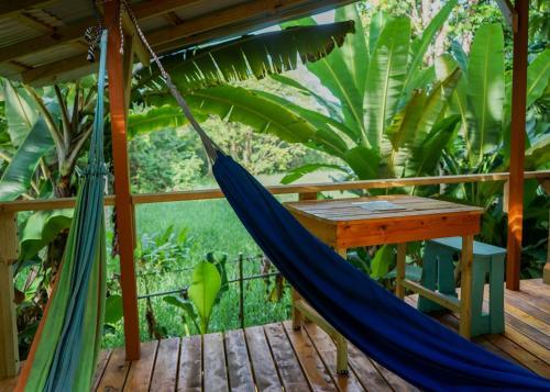 Albergue Flutterby House