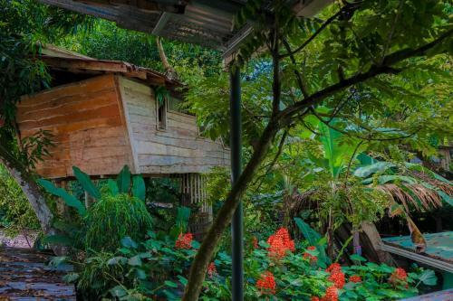 Albergue Flutterby House