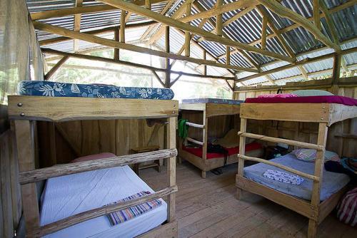 Albergue Flutterby House