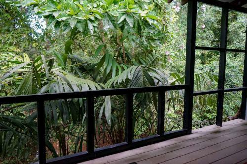 Hostal Hospedaje El Bosquecito