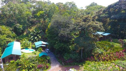 Bed & Breakfast Forest Lodge