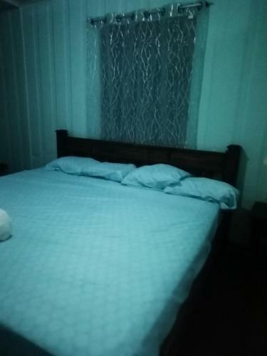 Hostal Casa Heliconia