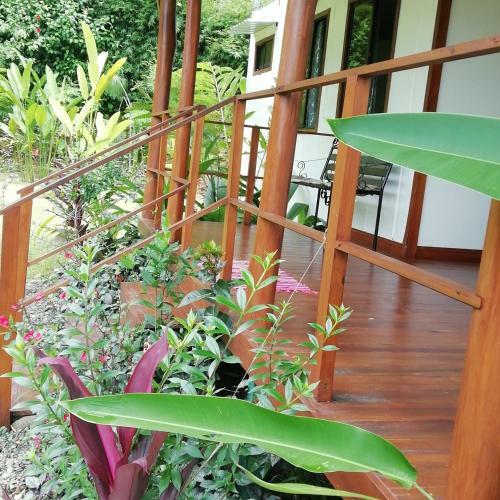 Hostal Casa Heliconia