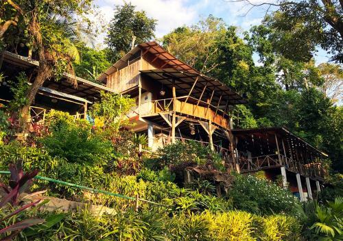 Hostel Plinio