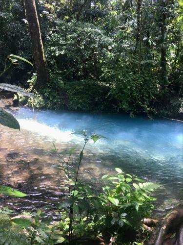 Apartamento La Pi�a, Rio Celeste