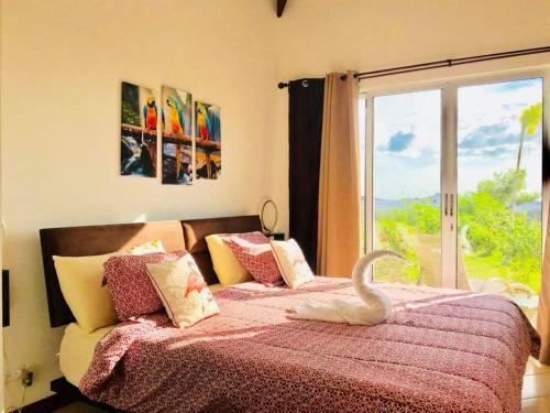 Villas Pura Vista